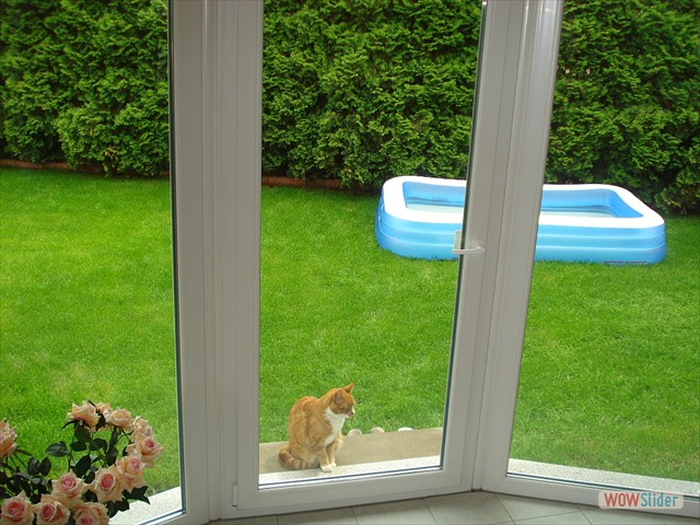 05 blick aus dem fenster