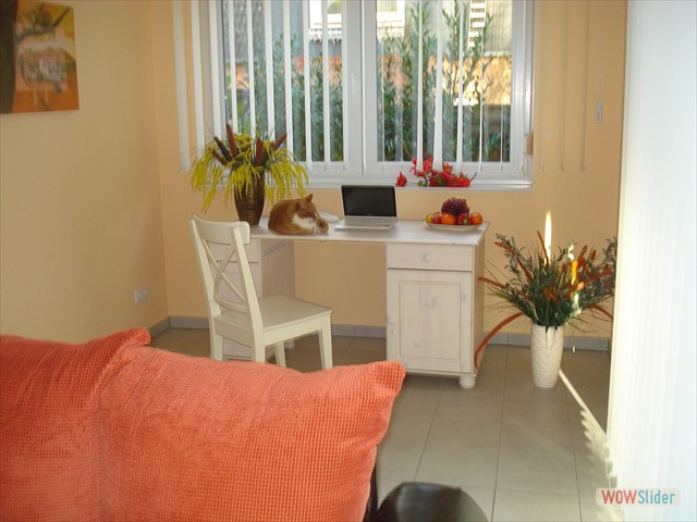 39 schreibtisch in ferienwohnung eg